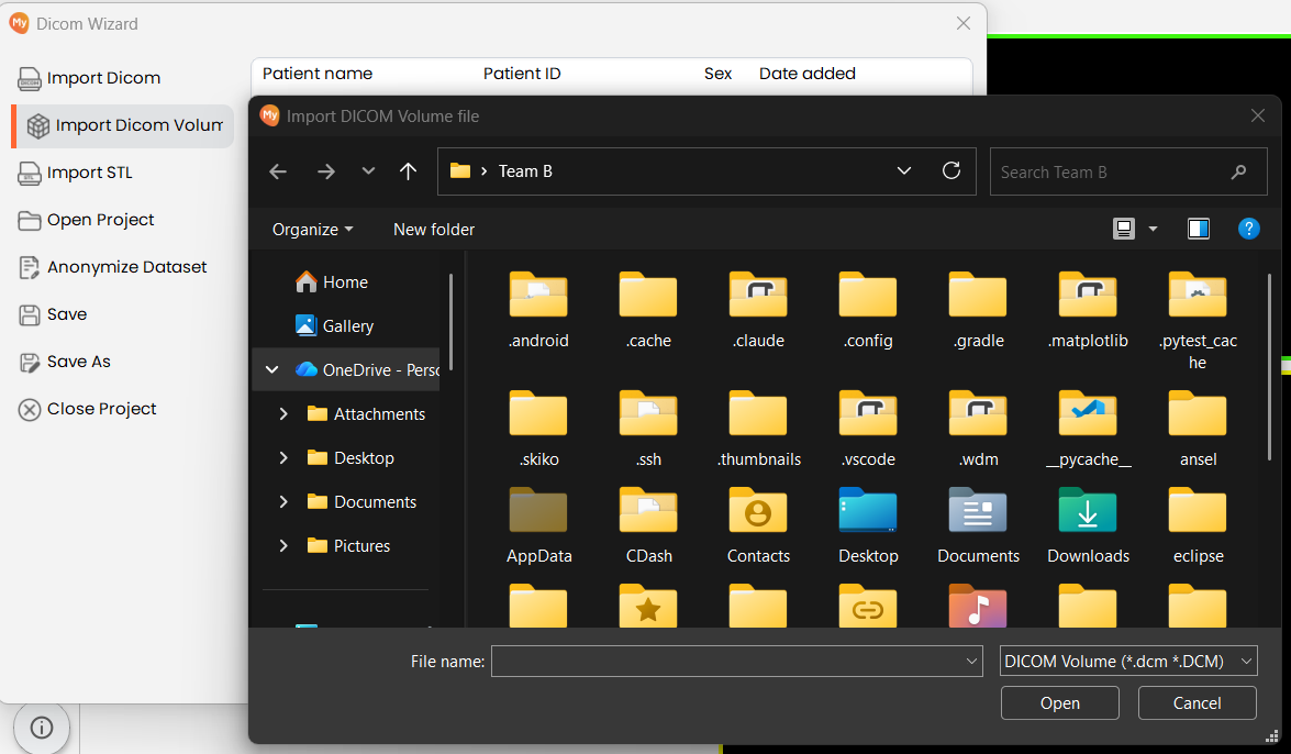 click Import DICOM button